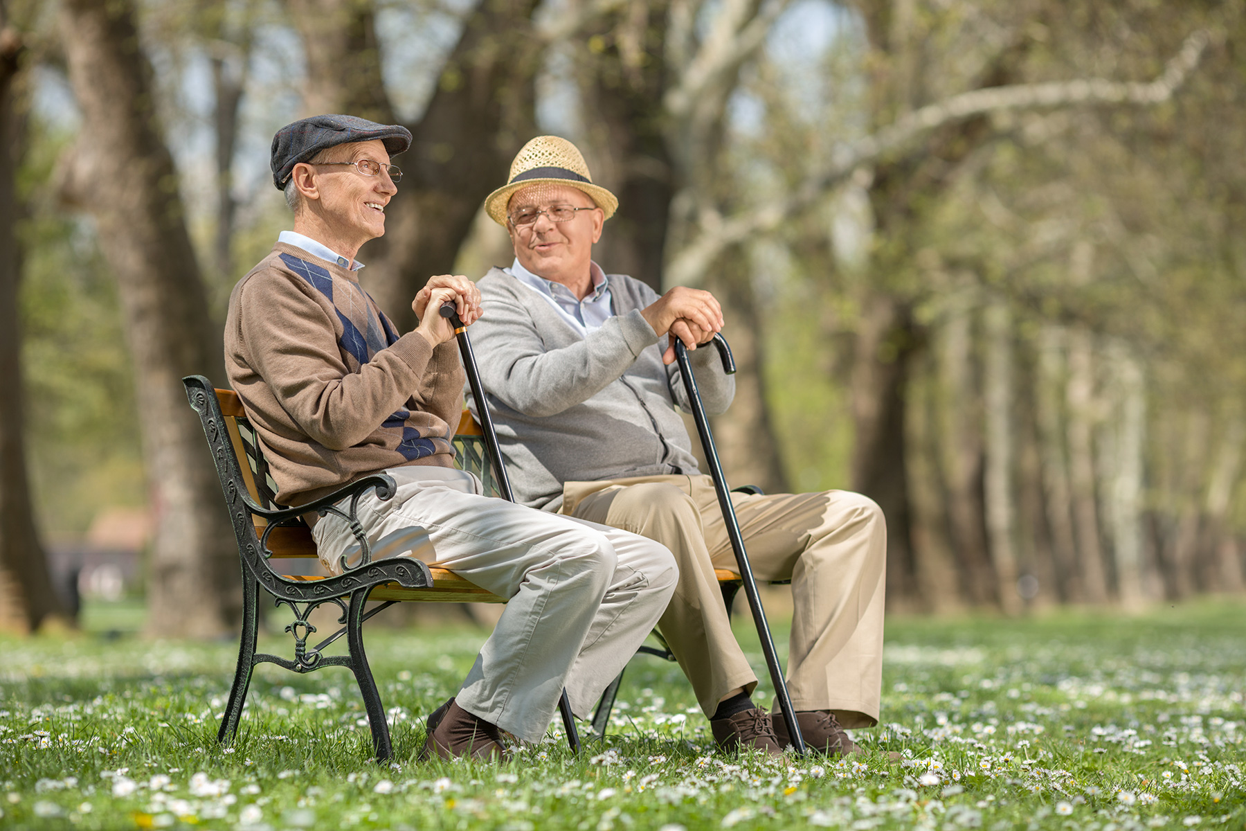Senioren entspannen im Garten der Tagespflege SAZ mittendrin